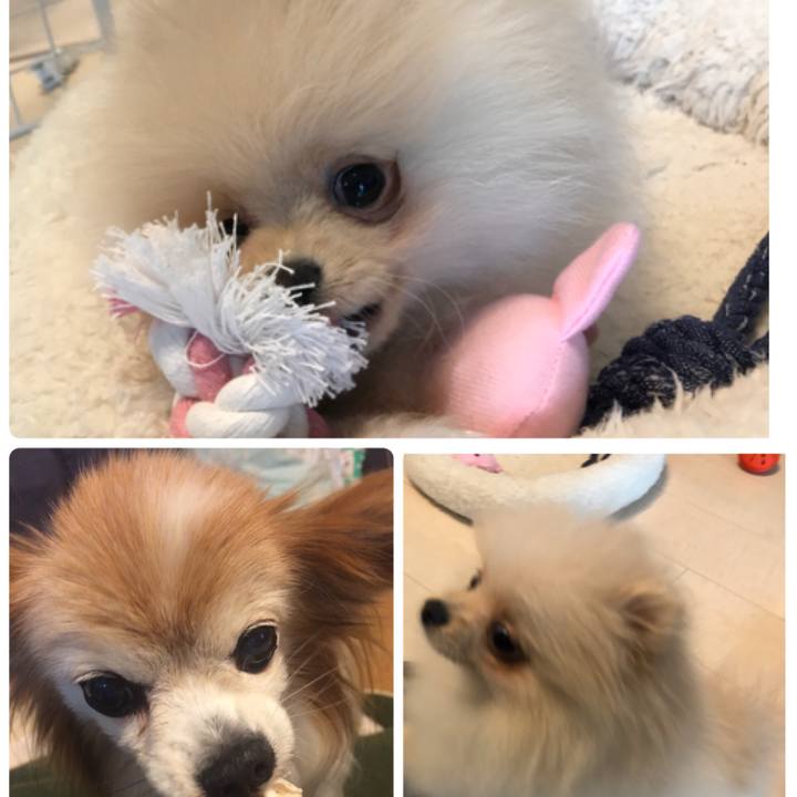 Dc1c14a7 4ad4 49d8 9745 add3058ef34b 1584154629710