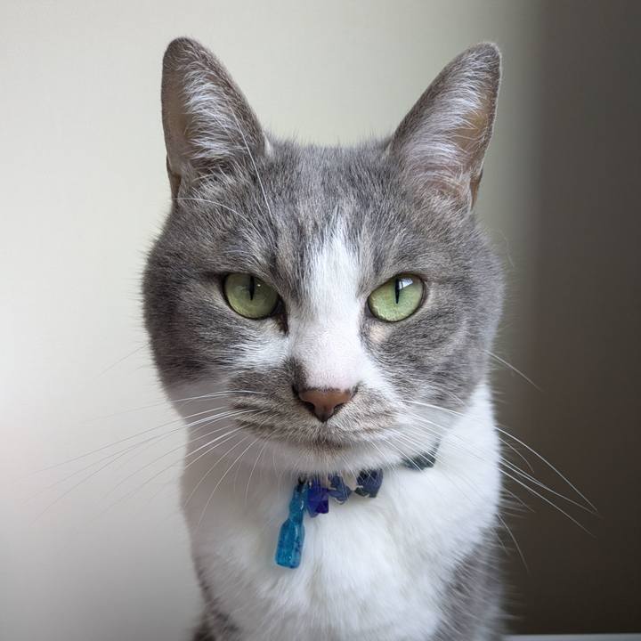 Dc1c319b fc6f 4129 8068 6835a2ac9fe1 1774744263361