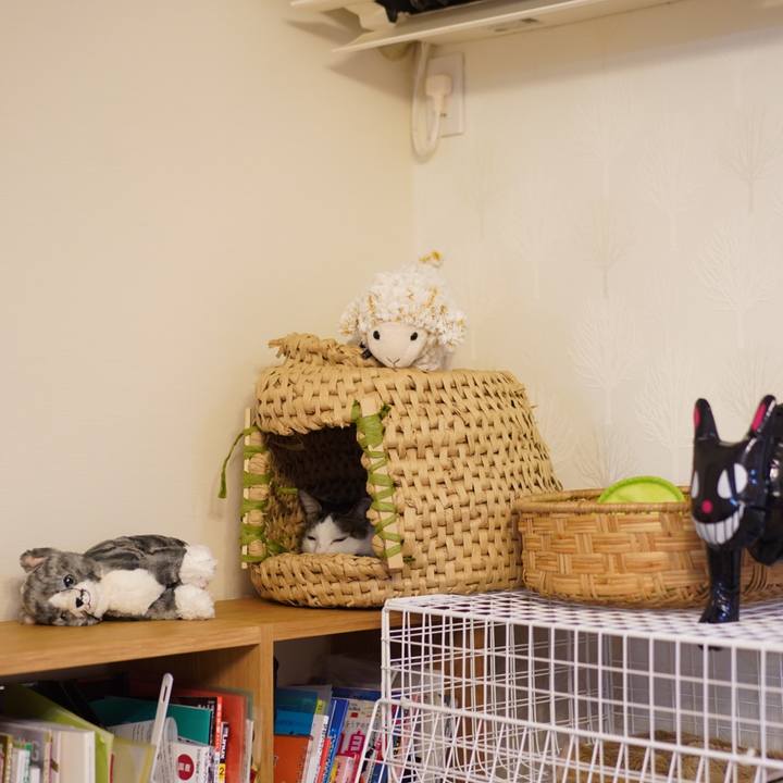 Dc1c8c78 464a 45e2 9afb 2806c0fd7229 1569767290667