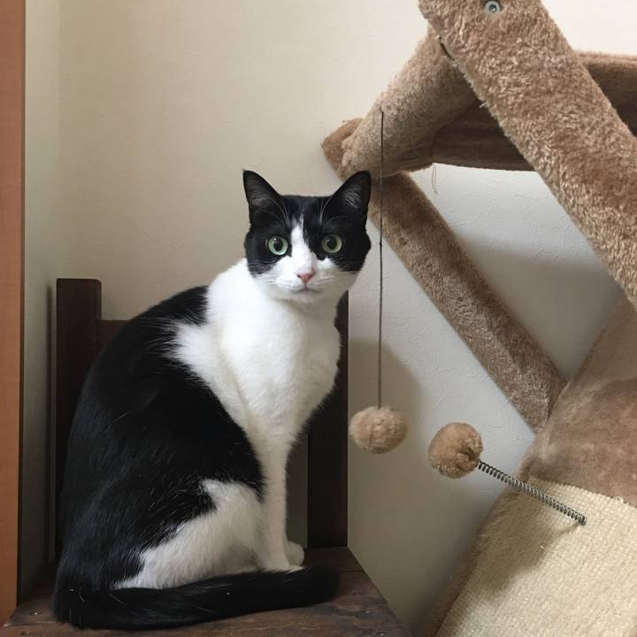 Dc1cc135 76f8 4fc0 8322 840a920450bd 1582075233713