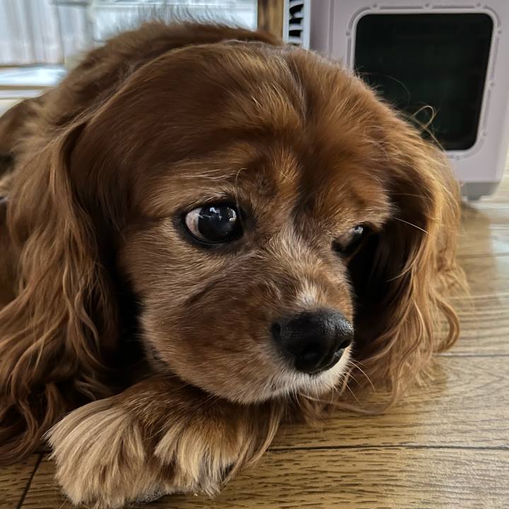 Dc1ce9bd eb35 4663 9d68 f4fa6db6b0a2 1691836203323