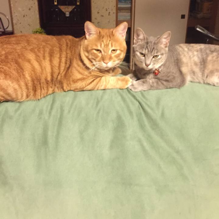 Dc1cf1c3 21b7 4d5f 98c8 ac08a7bfcea1 1544614338695