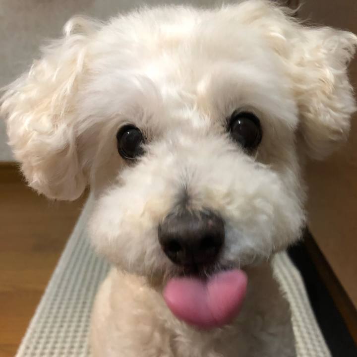 Dc1d077b 1c93 4abd a30c 01d0fbcfa5ba 1527665523872