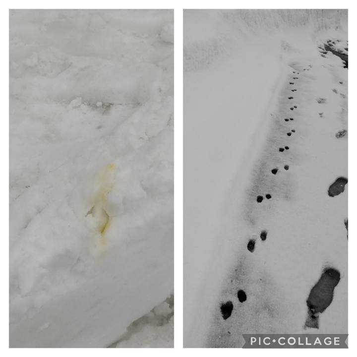 Dc1d307d f012 438d a051 d91c935c9ab3 1675157301451