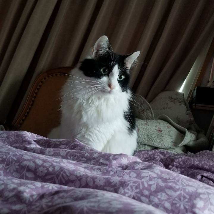 Dc1d3f9e 356f 4823 b7ad 547402883039 1571435580277