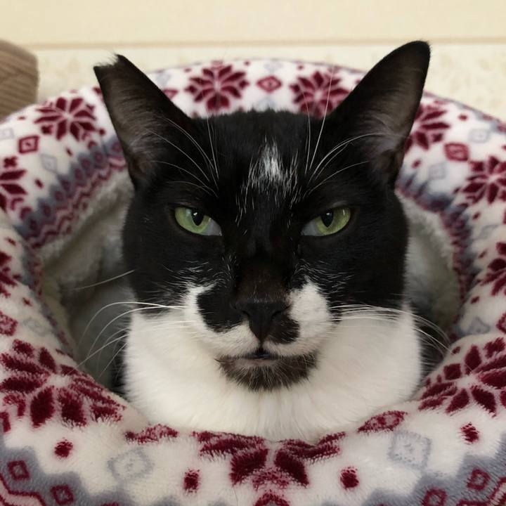 Dc1d40f6 bfaf 492d a4b7 24e89e0cb1e4 1603466991408