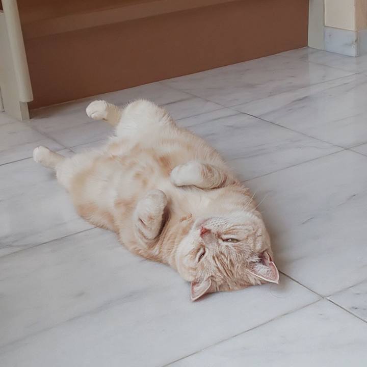 Dc1dbb64 00b8 44f7 87b2 0e72c92d4efc 1564117309268