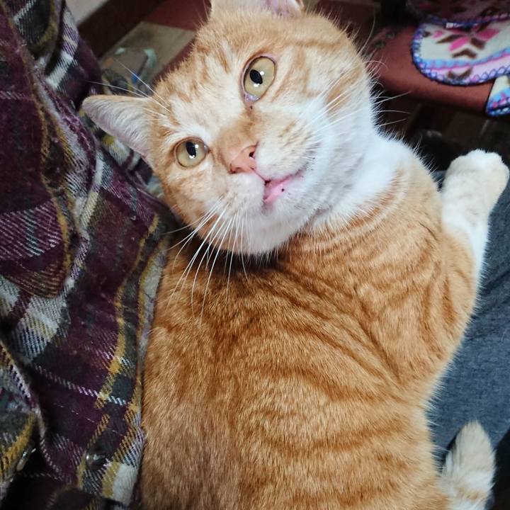 Dc1dbc0e 41c7 443b 86a5 645574527b7d 1576381973300