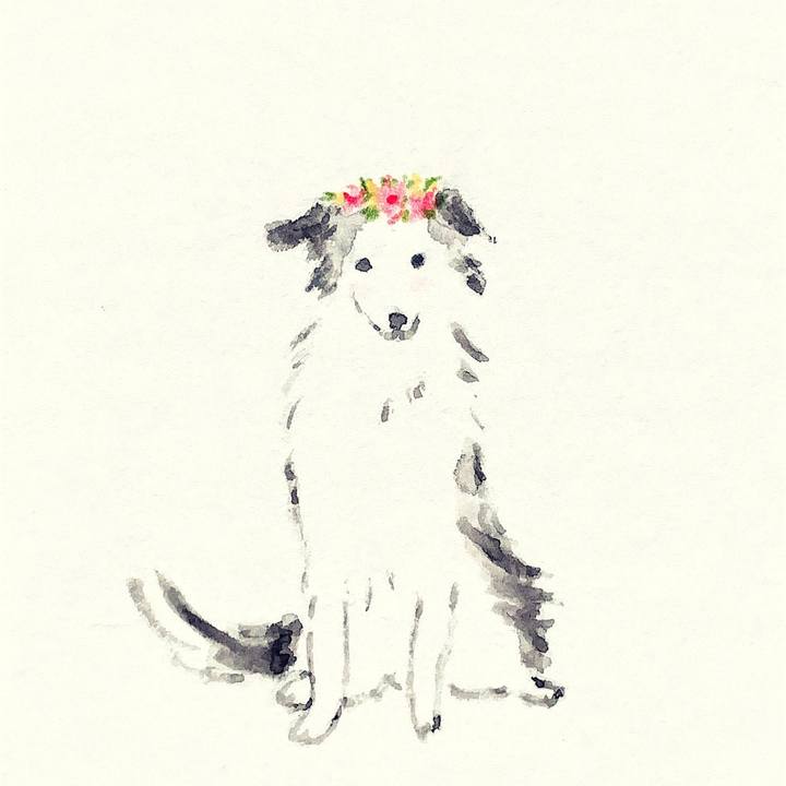 Dc1de397 6372 4b4d 84c1 d5c3d2b414e5 1639786411888