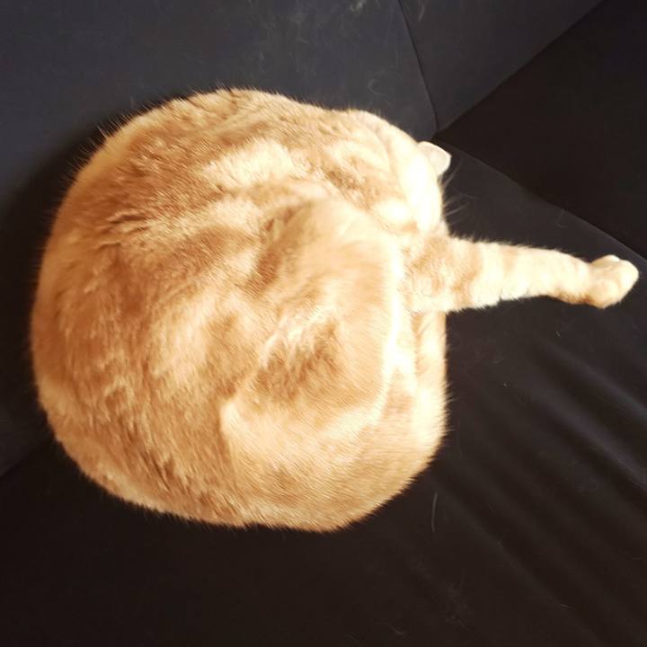 Dc1e3224 15d9 4690 86fd 1c5963928be1 1545714625146