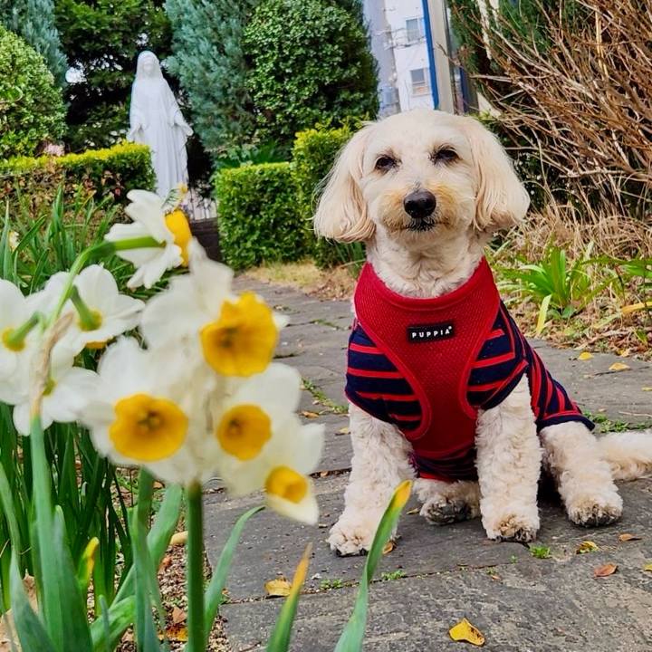 Dc1e5369 619e 4a2b 8ad8 ee8b959ab867 1772509112950