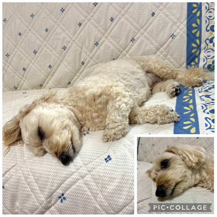 Dc1e5824 c383 4f7c 95aa 9610289659cd 1768204278555