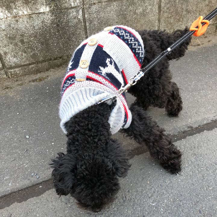 Dc1e6468 5ce9 46bb b9f9 dae031f04c99 1515828699421