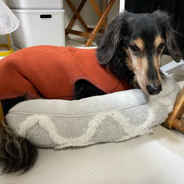 Dc1e838a 75ef 41a8 ae07 3ae8332664b3 1736068354939