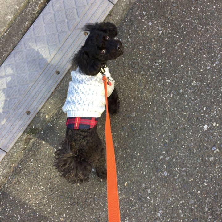 Dc1ec6bc 64b8 48ae b518 3d0ae6560ce5 1513241537956