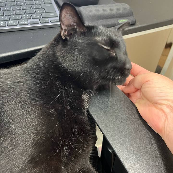 Dc1ec816 c660 4512 9c04 1ed6b253deff 1685324983023