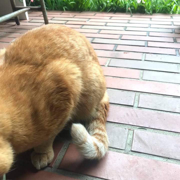 Dc1ed319 2d61 4756 b516 183eaea7bfaa 1621223695669