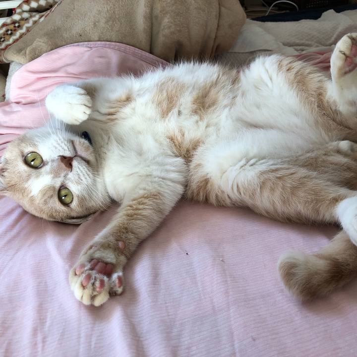 Dc1ee2f2 d1ed 4788 8614 960256c4ae17 1564098339093