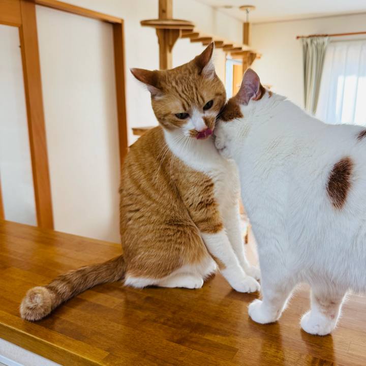 Dc1f0b9f 82d7 4058 bbfe 9b03bd050c63 1768637767584