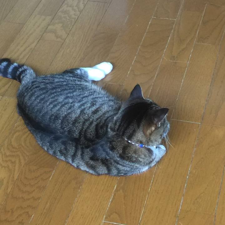 Dc1f4091 8090 4cee b84c c0dc76883a27 1556680280044