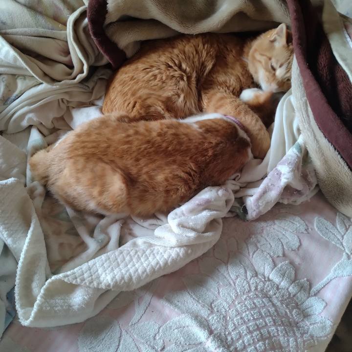 Dc1f8d05 add6 4b63 ba4b dbb85dfaddf7 1742786284602