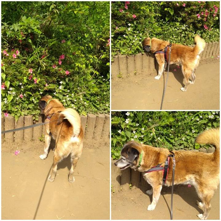 Dc1fbddf ab28 4ef6 8be3 dc9a278a9da6 1559607099885