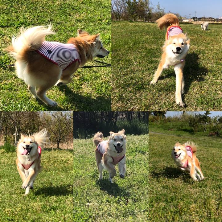 Dc202b3a 3242 493a 96a5 4a6457fbf254 1555939106642