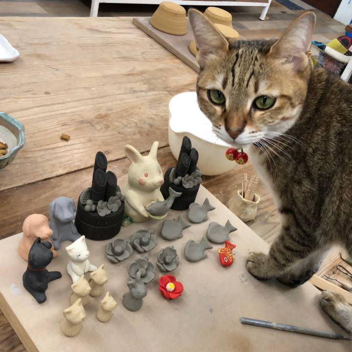 Dc204d2d 2f62 42c0 bd77 22e6caf745ed 1669344270113