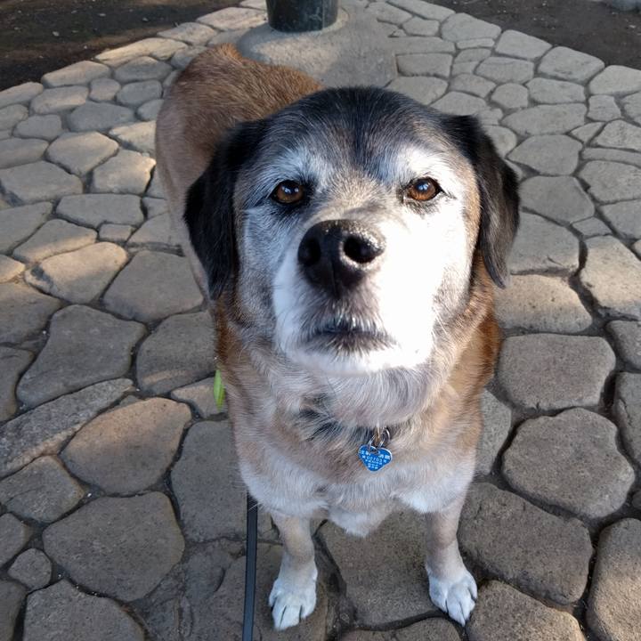 Dc207afe cf87 43ba 8330 1287f028eed6 1552867357707