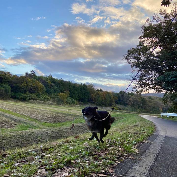 Dc20aceb 7970 4e6f a94a e4819f484c85 1604874560749