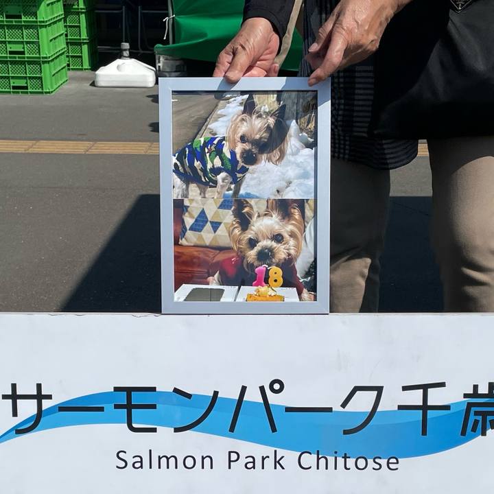 Dc20b871 e981 4321 b5cf 7bf30a833fc8 1716456715416