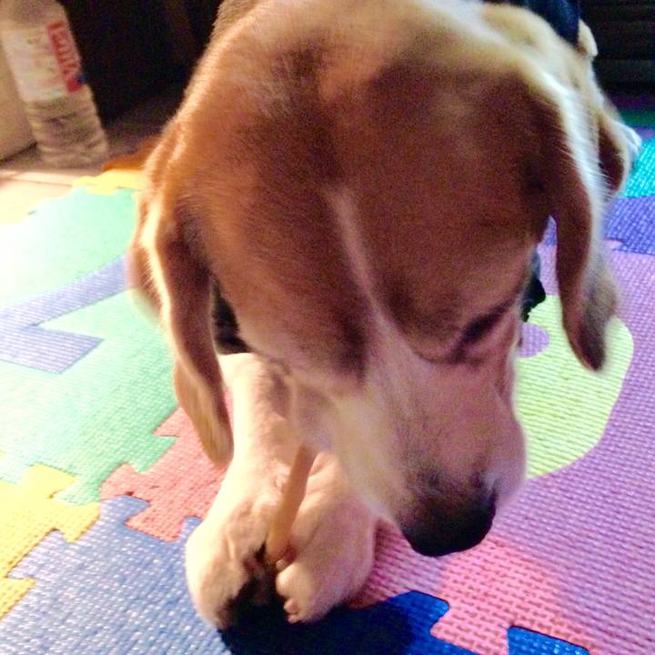 Dc20d8df f692 4756 921c 434ac73b487c 1742438055808