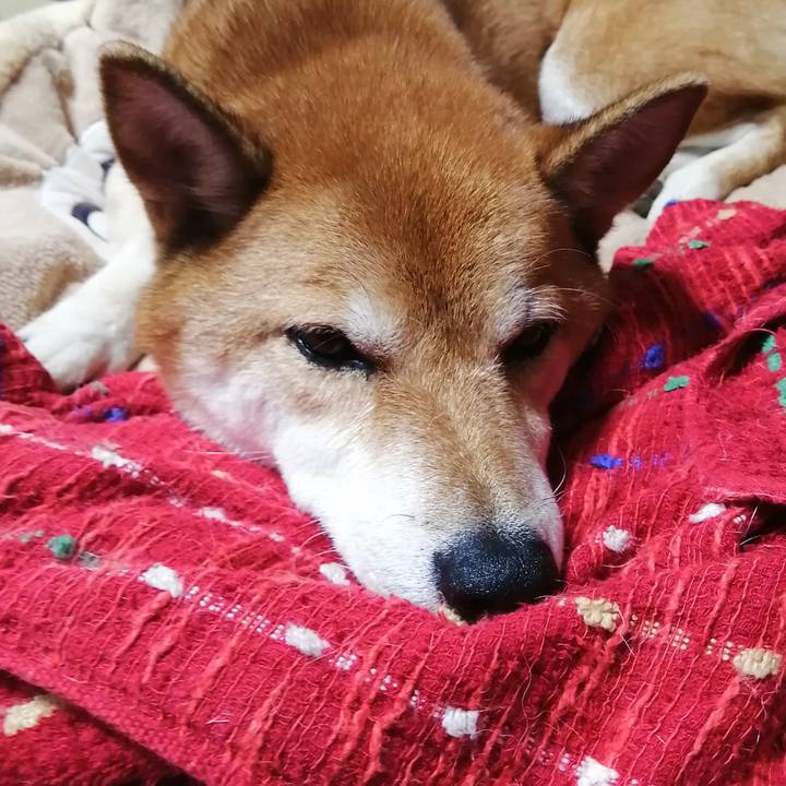 Dc20fb05 69fd 4b20 af45 50e48da4cead 1630726073920