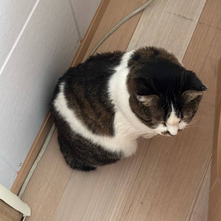 Dc20fd2a 6c0b 462c bbee f1aeef93bff5 1762580065725