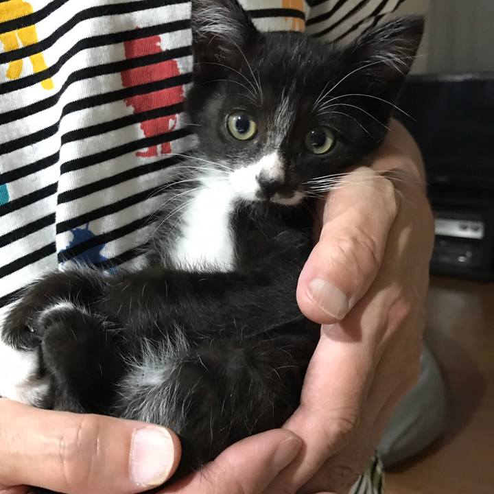 Dc213bae 7968 4001 b252 550a9f4b306d 1649083127103