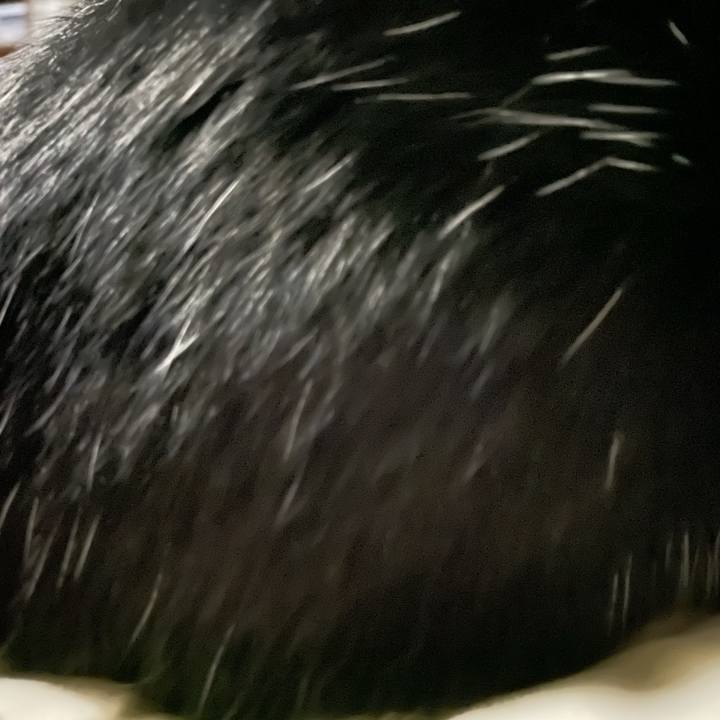 Dc215641 4489 49d7 9d5f dff8530578c9 1621020647895