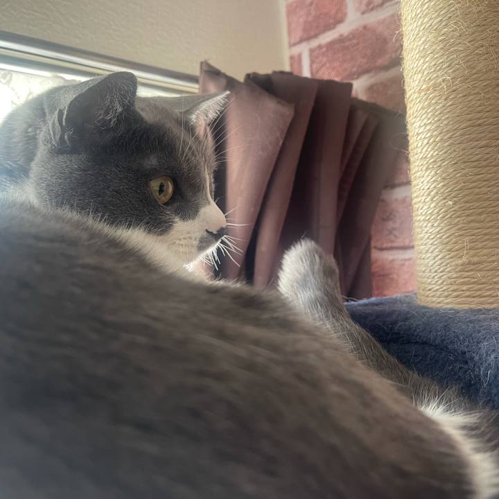 Dc216004 505f 4a70 a81b 26f04838d457 1676589956767