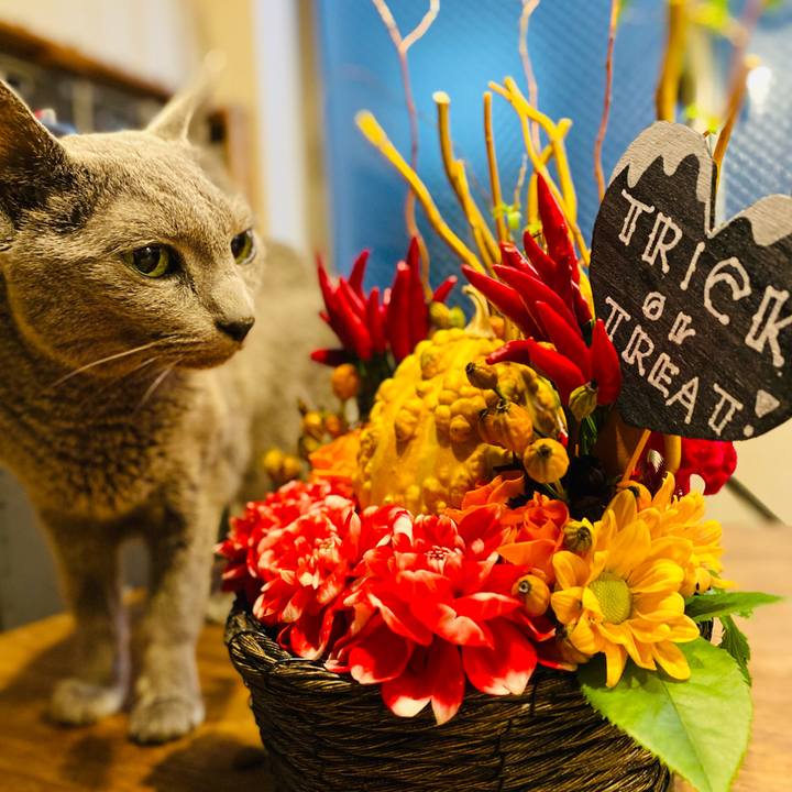 Dc21c2f2 5ca5 46a1 8287 782bc56a273a 1635303566792