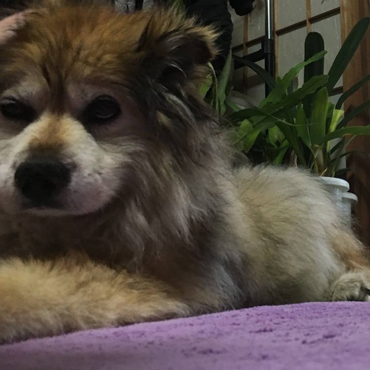 Dc21e2b4 8308 4558 a20b 7e63ee089493 1607813057991