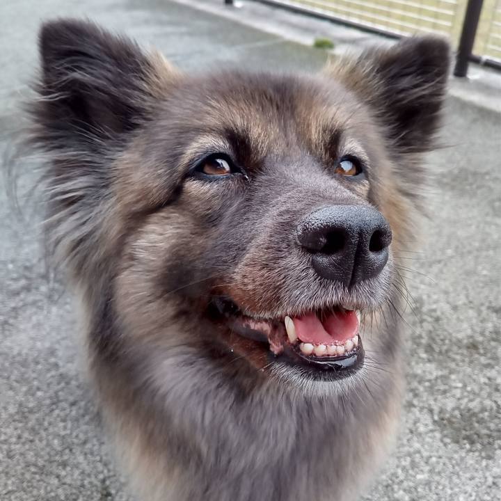 Dc21ec5d 09e1 44bd bddb 0c4f5c822367 1760927632209