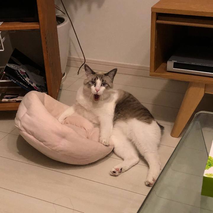 Dc2243b8 8000 4cc6 a206 c2611c29ab8c 1542551234685