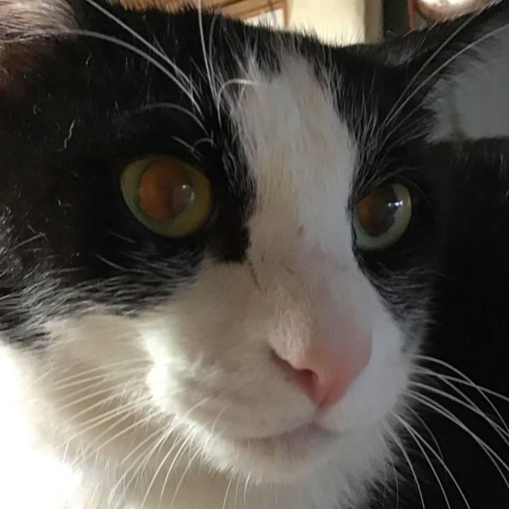 Dc227812 365b 4bef 8c51 211ec425122a 1756975080456