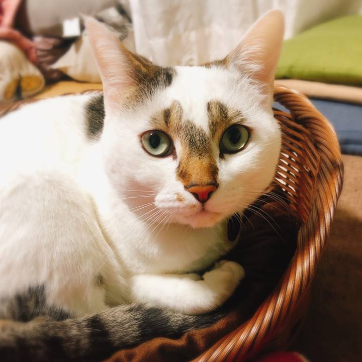 Dc22781a 4699 4f02 91ca 5d588ab73d4c 1577612386740