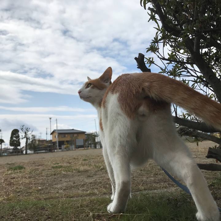 Dc2288c9 441e 45e9 925a ff78f8591631 1521778532655