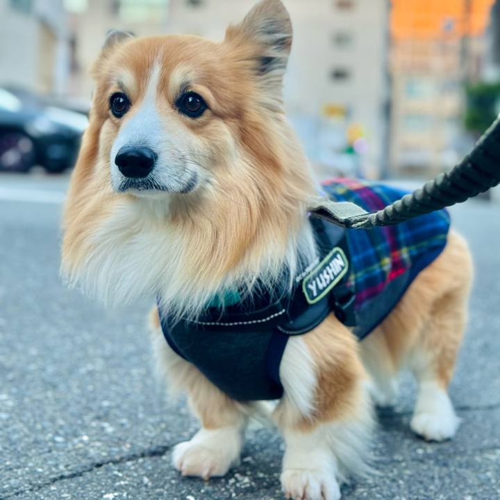 Dc229145 ea24 4804 b8b5 c387c017ef18 1768347933040