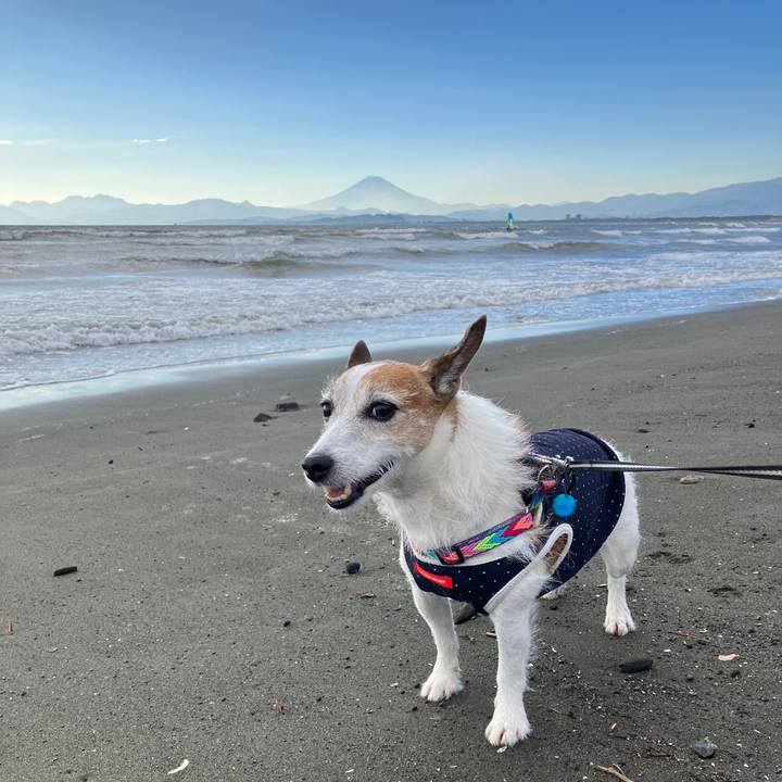 Dc22b8f6 6efa 4c7b ac5c b82108b3045e 1699485536158