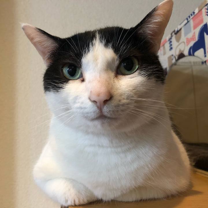 Dc22d884 3f73 47e4 9709 e71e3d2dbe74 1590566513569