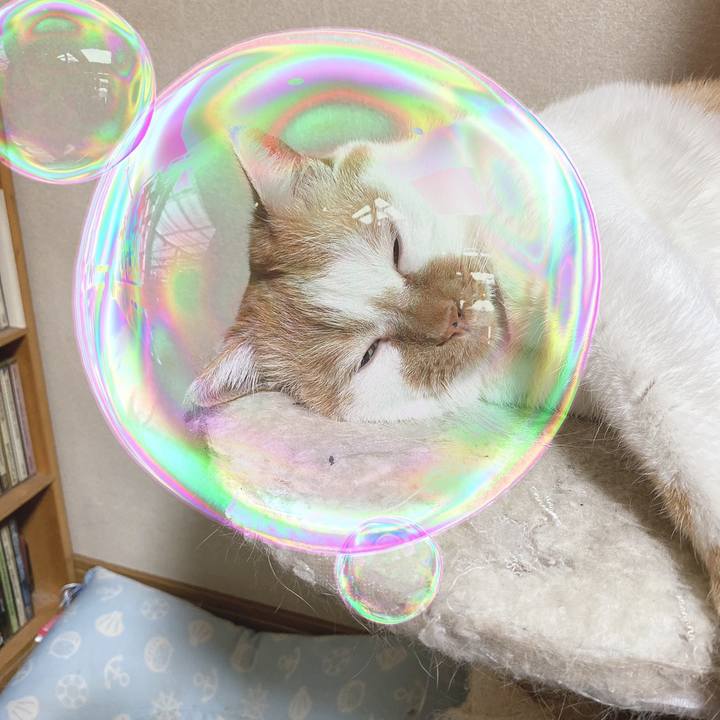 Dc22dfcf 82e7 4615 b7f2 90b5a0001cb5 1582524637020