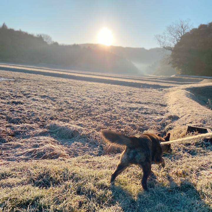 Dc22ee80 5b66 44ce 87f5 a01eae8bffac 1581462081495