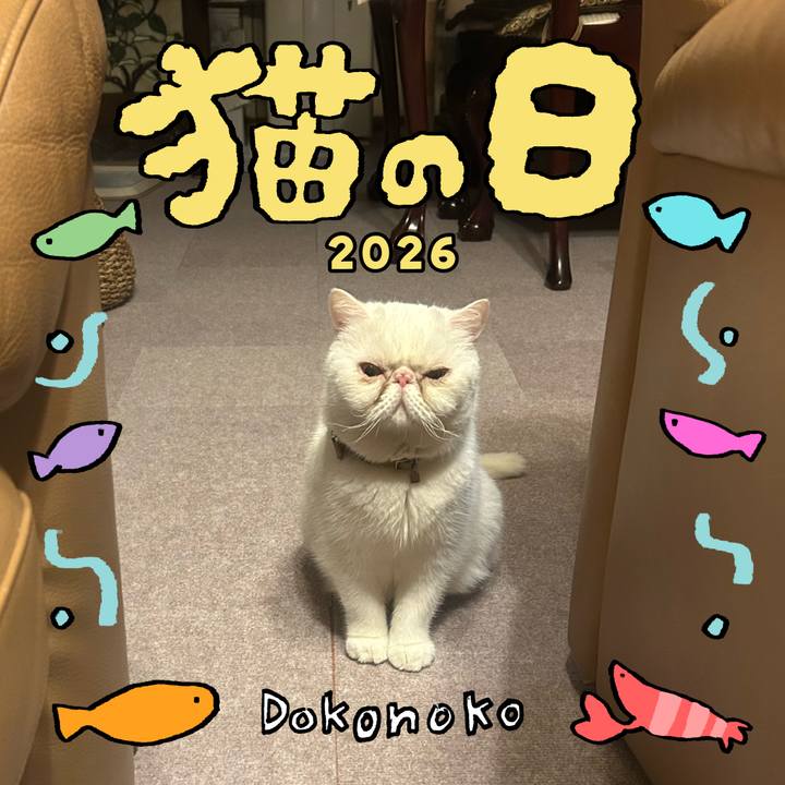 Dc232802 af78 4374 a42b 3a3da711e1ae 1771755673238